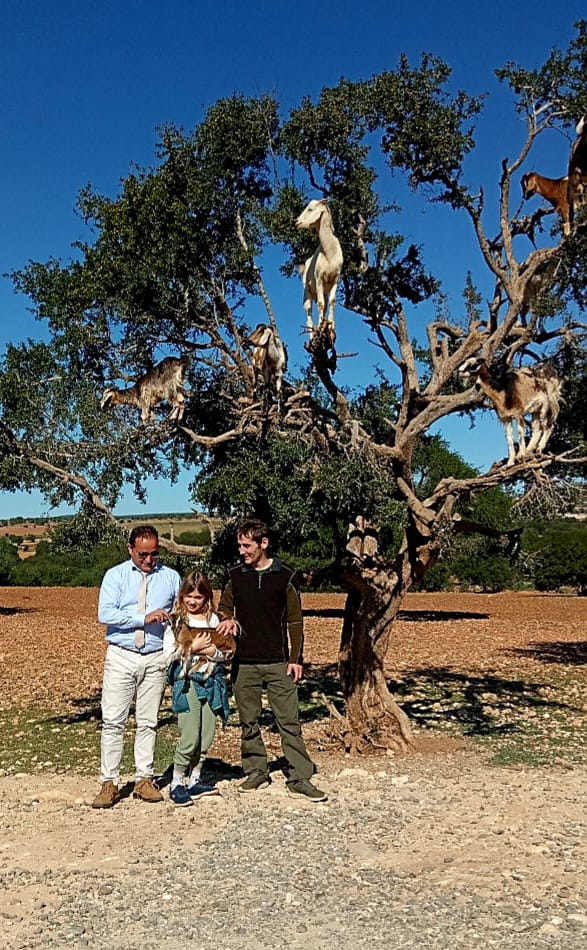 Family with Famous Argan Tree Goats