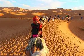 Desert Tour