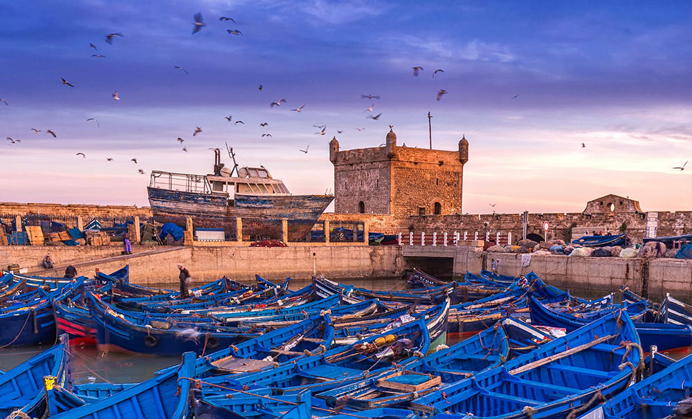 Essaouira Day Trip
